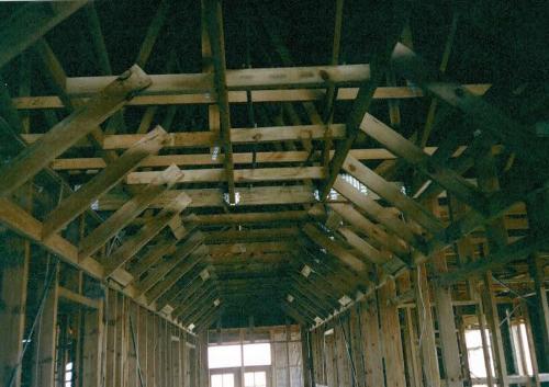 T5